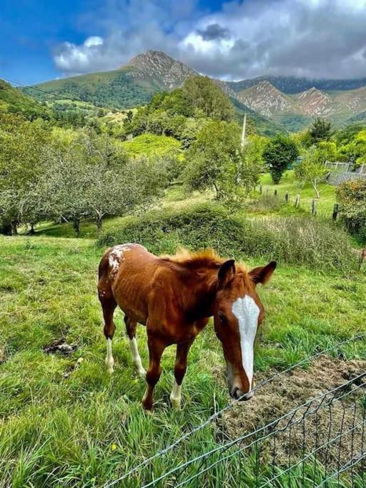 La Coqueta Del Sueve Villa Arriondas Luaran gambar
