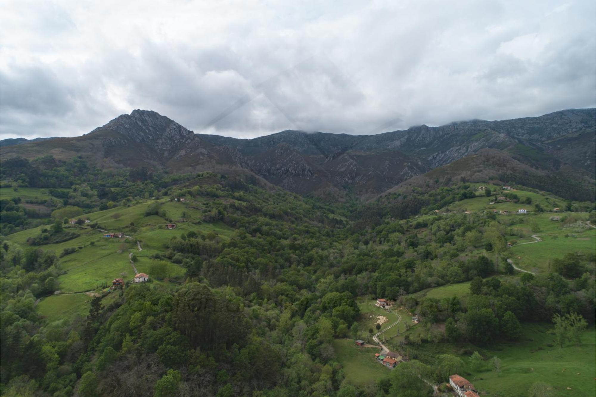 La Coqueta Del Sueve Villa Arriondas Luaran gambar